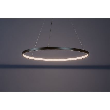 Rabalux - Lustra LED suspendată pe cablu LED/55W/230V 3000K