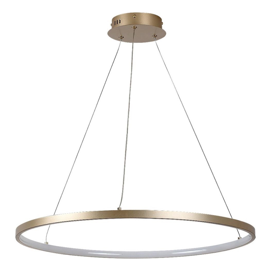 Rabalux - Lustra LED suspendată pe cablu LED/55W/230V 3000K