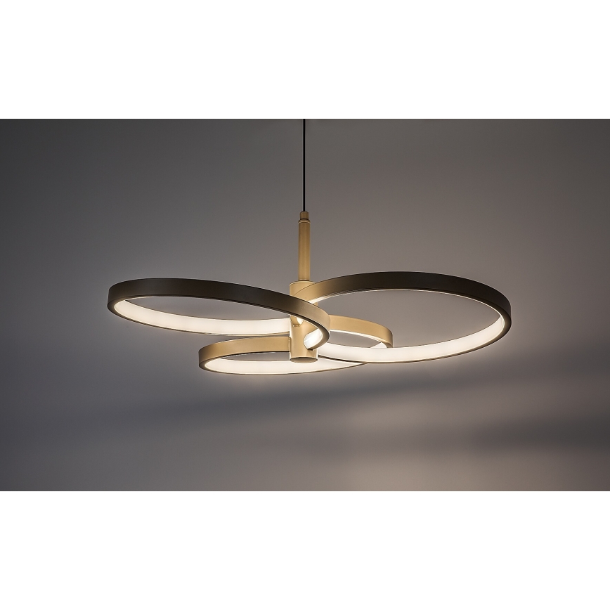 Rabalux - Lustră LED reglabilă pe cablu LED/50W/230V 3000-6500K + telecomandă