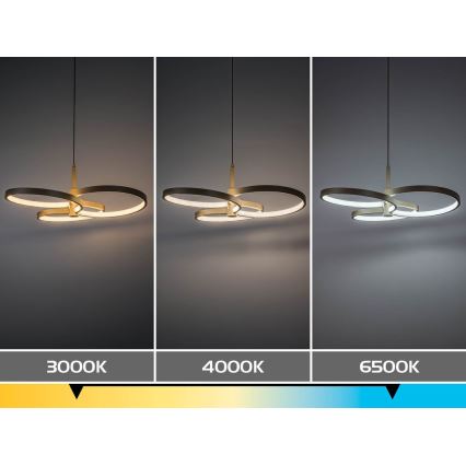 Rabalux - Lustră LED reglabilă pe cablu LED/50W/230V 3000-6500K + telecomandă