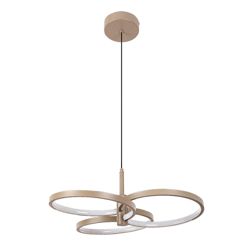 Rabalux - Lustră LED reglabilă pe cablu LED/50W/230V 3000-6500K + telecomandă
