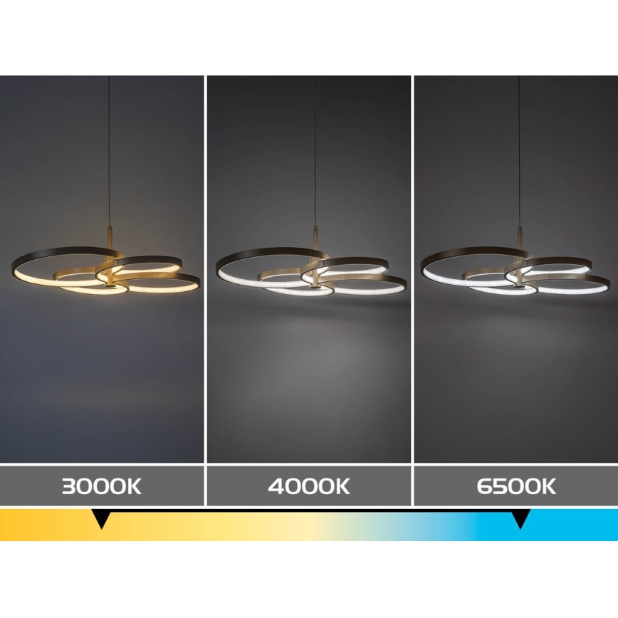 Rabalux - Lustră LED dimabilă suspendată pe cablu LED/70W/230V 3000-6500K + telecomandă
