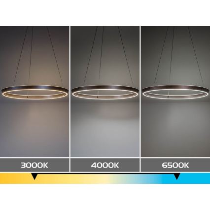 Rabalux - Lustră LED reglabilă suspendată pe cablu, LED/70W/230V 3000-6500K + telecomandă