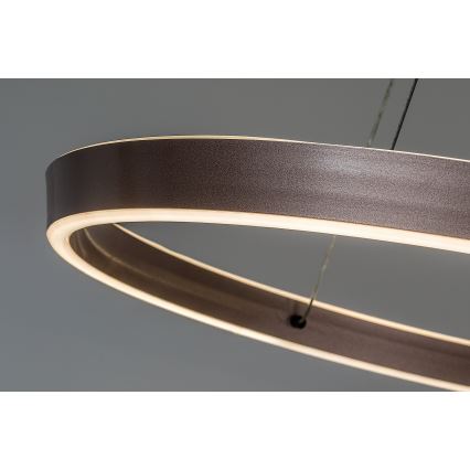 Rabalux - Lustră LED reglabilă pe cablu LED/36W/230V 3000-6500K + telecomandă