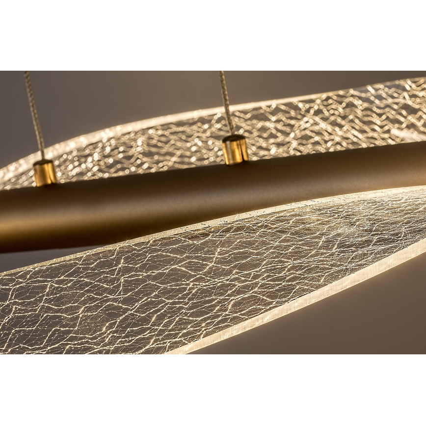 Rabalux - Lustră LED pe cablu LED/24W/230V 3000K