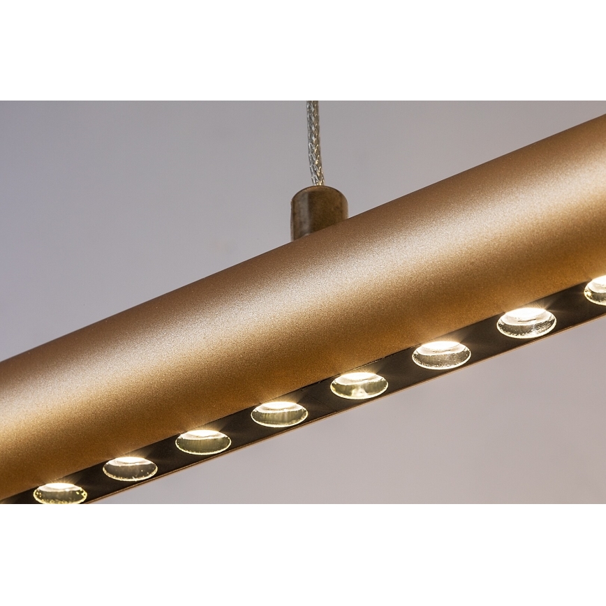 Rabalux - Lustră LED pe cablu LED/24W/230V 3000K