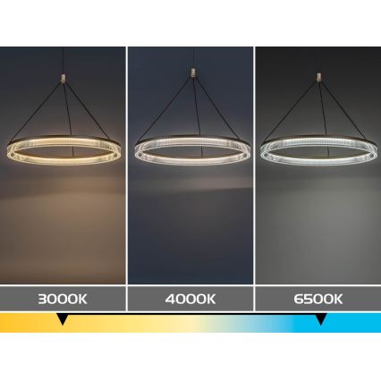 Rabalux - Pendul LED dimabil pe cablu LED/24W/230V 3000-6500K + telecomandă