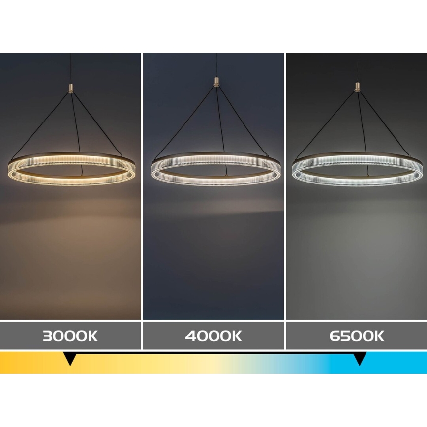 Rabalux - Pendul LED dimabil pe cablu LED/24W/230V 3000-6500K + telecomandă
