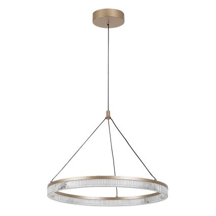 Rabalux - Pendul LED dimabil pe cablu LED/24W/230V 3000-6500K + telecomandă