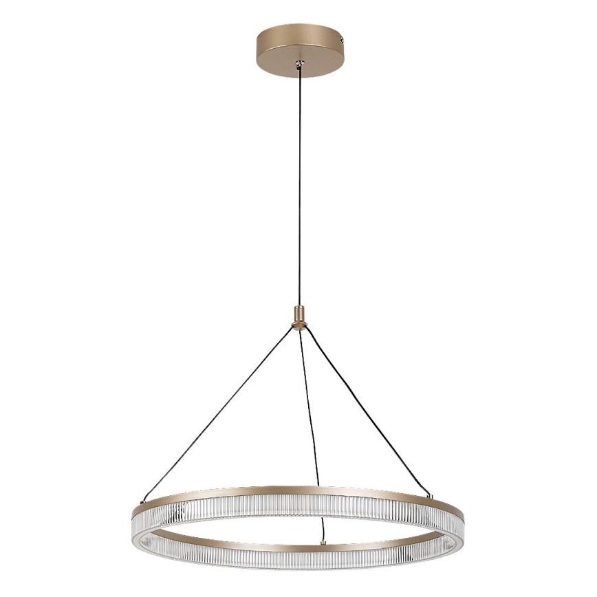 Rabalux - Pendul LED dimabil pe cablu LED/24W/230V 3000-6500K + telecomandă
