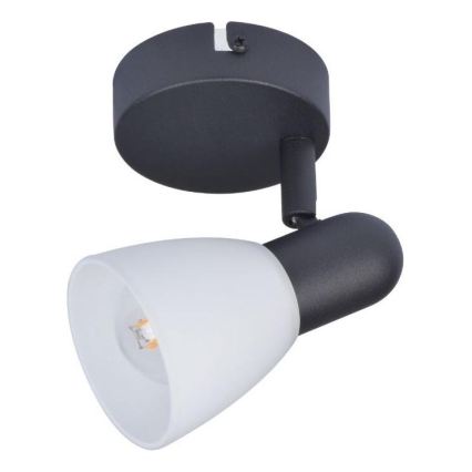 Rabalux - Spot 1x E14, 40W, 230V