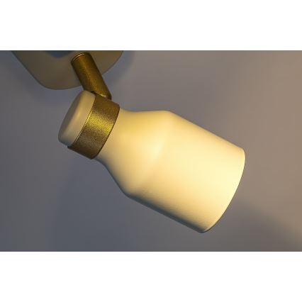 Rabalux - Spot cu 2 x soclu GU10, 15 W, 230 V