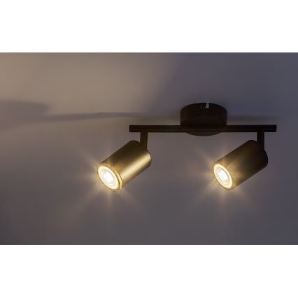 Rabalux - Spot cu 2x GU10, 15 W, 230 V, negru