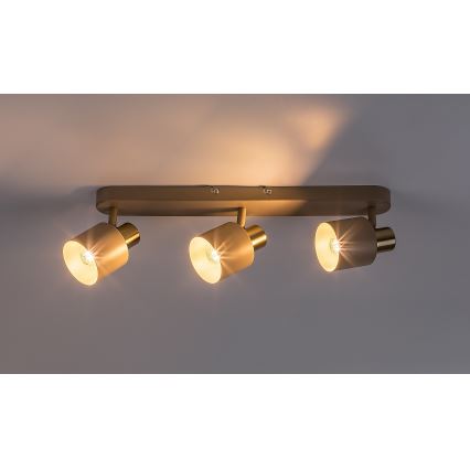 Rabalux - Plafonieră cu spoturi 3xE14/10W/230V bej