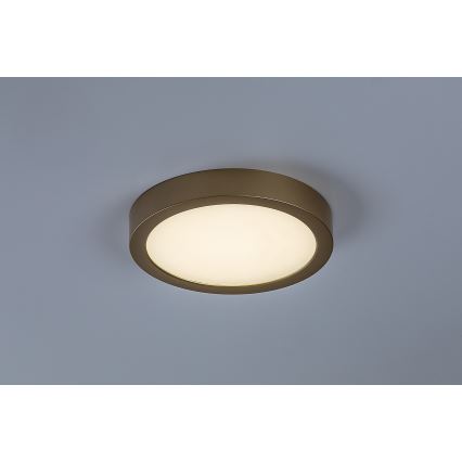 Rabalux - Plafonieră LED pentru baie, 24 W, 230 V, Ø 22 cm, IP44, auriu