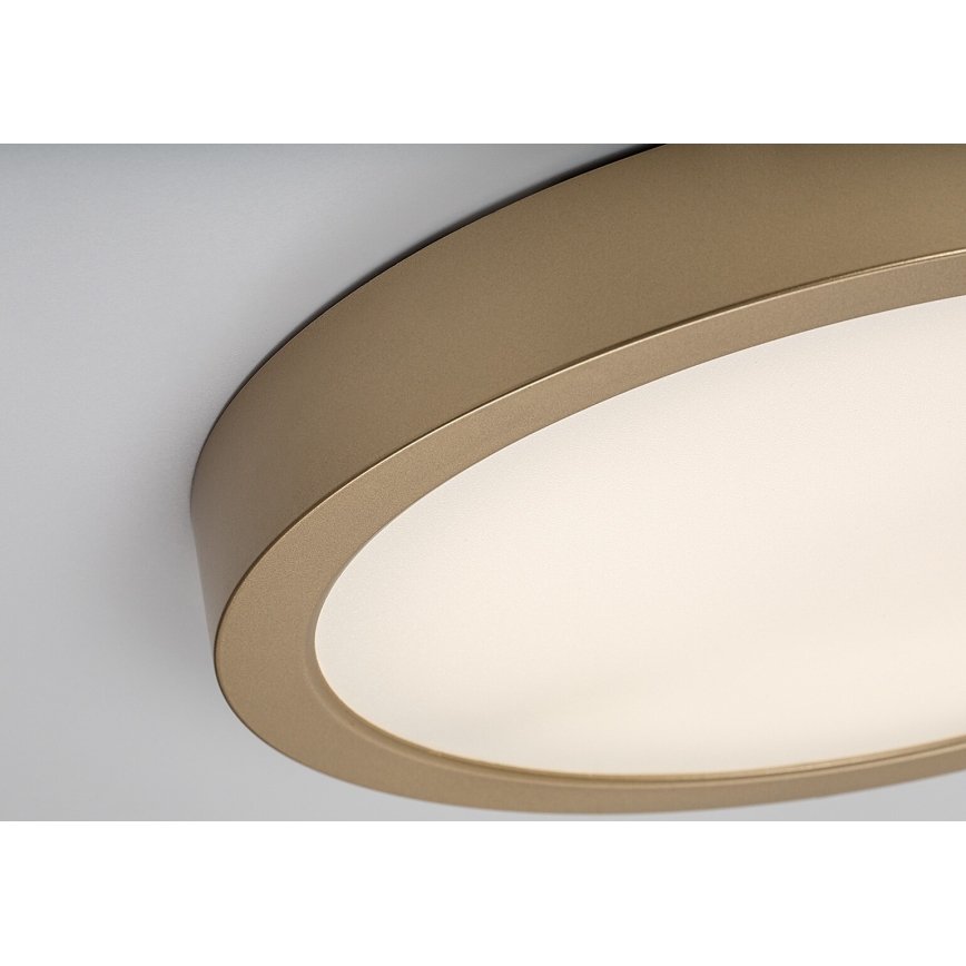 Rabalux - Plafonieră LED pentru baie, 30 W, 230 V, Ø 30 cm, IP44, aurie