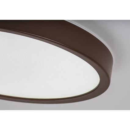 Rabalux - Plafonieră LED pentru baie LED/18W/230V 3000/4000/6000K Ø 29 cm IP44 maro