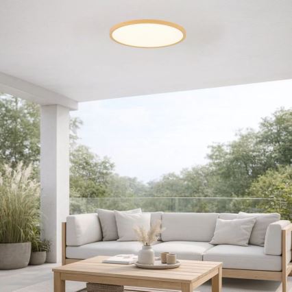 Rabalux - Plafonieră LED pentru baie LED/24W/230V 3000/4000/6000K Ø 40 cm IP44 bej