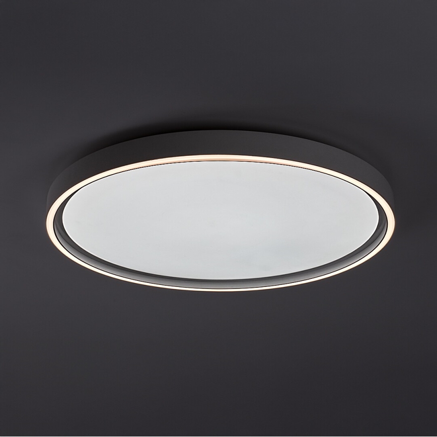 Rabalux - Plafonieră LED reglabilă LED/54W/230V IP40 3000-6500K Ø 52 cm + telecomandă
