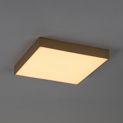 Rabalux - Plafonieră LED de baie LED/24W/230V 2800/4000/6000K IP44