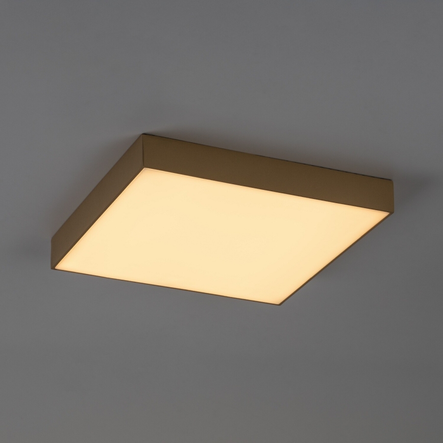 Rabalux - Plafonieră LED de baie LED/24W/230V 2800/4000/6000K IP44