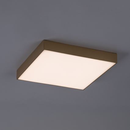 Rabalux - Plafonieră LED de baie LED/24W/230V 2800/4000/6000K IP44