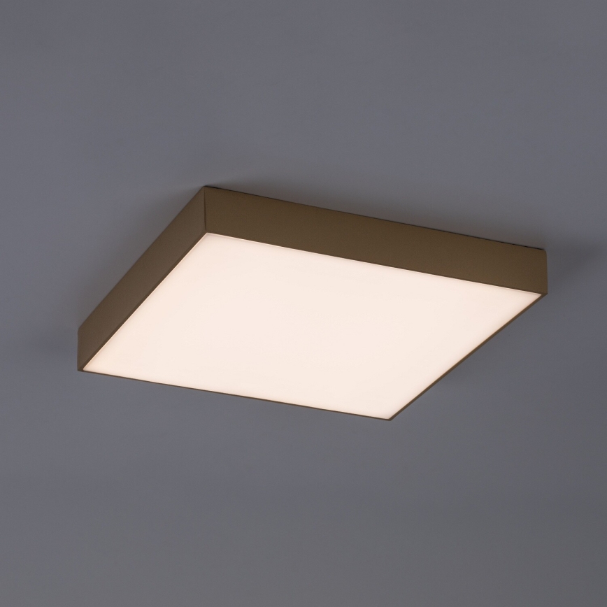 Rabalux - Plafonieră LED de baie LED/24W/230V 2800/4000/6000K IP44