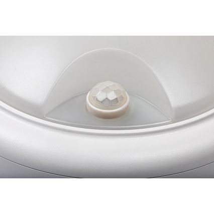 Rabalux - Aplica de perete LED pentru exterior cu senzor LED/15W/230V IP54