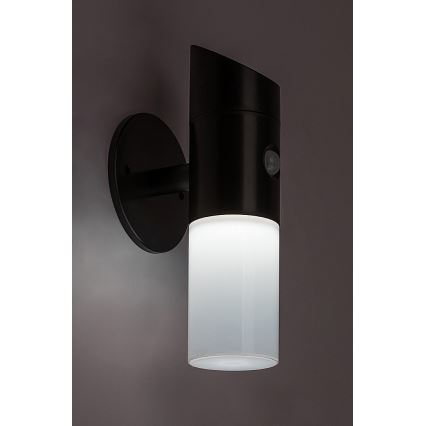 Rabalux - Lampă solară de perete LED RGB cu senzor LED/1W/3,7V IP44 negru 1200 mAh