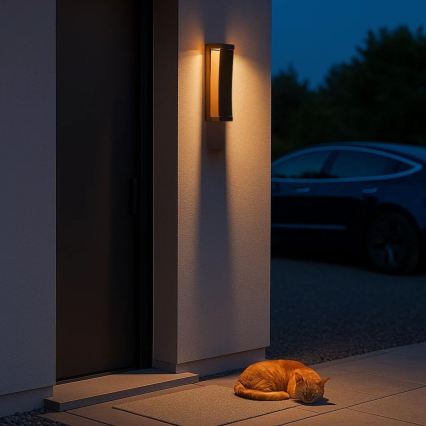 Rabalux - Aplica LED de perete pentru exterior/13W/230V IP65 maro