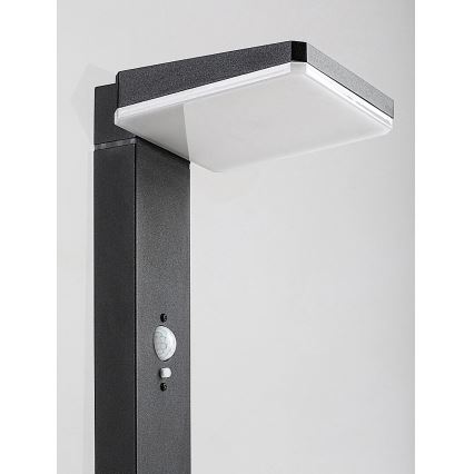 Rabalux - Lampă solară de exterior LED reglabilă cu senzor LED/4,4W/3,7V IP54 antracit 2200 mAh
