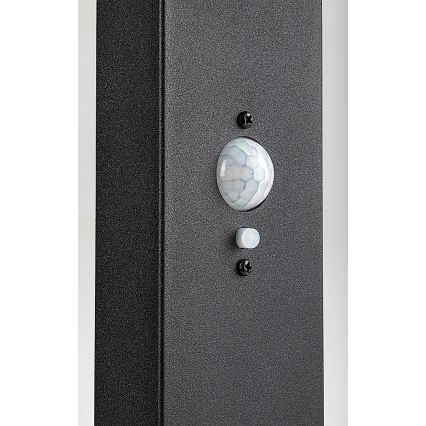 Rabalux - Lampă solară de exterior LED reglabilă cu senzor LED/4,4W/3,7V IP54 antracit 2200 mAh