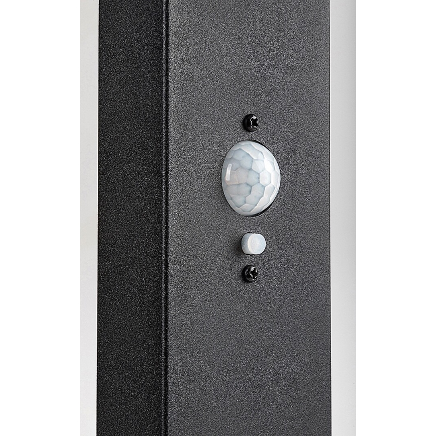 Rabalux - Lampă solară de exterior LED reglabilă cu senzor LED/4,4W/3,7V IP54 antracit 2200 mAh
