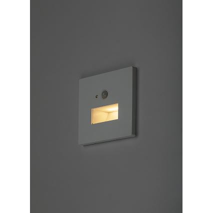 Rabalux - Aplică LED pentru scări cu senzor de mișcare și senzor crepuscular LED/1W/230V 3000/4500/6500K albă