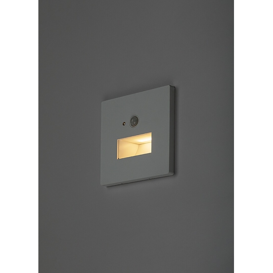 Rabalux - Aplică LED pentru scări cu senzor de mișcare și senzor crepuscular LED/1W/230V 3000/4500/6500K albă