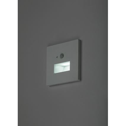 Rabalux - Aplică LED pentru scări cu senzor de mișcare și senzor crepuscular LED/1W/230V 3000/4500/6500K albă