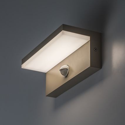 Rabalux - Aplică LED de exterior cu senzor, 9W/230V, IP54, bej