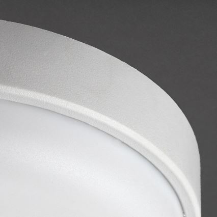 Rabalux - Plafonieră de exterior LED LED/14W/230V IP54 albă