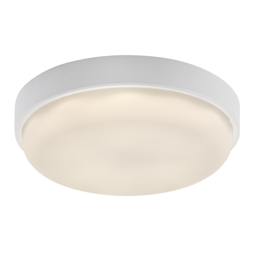 Rabalux - Plafonieră de exterior LED LED/14W/230V IP54 albă