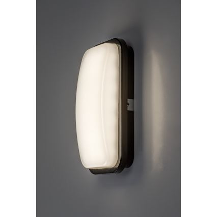 Rabalux - Aplică de perete LED pentru exterior LED/15W/230V 4000K IP65