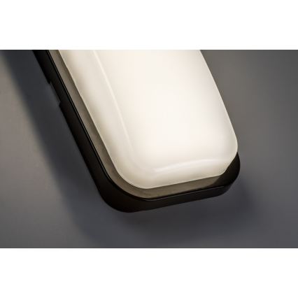 Rabalux - Aplică de perete LED pentru exterior LED/15W/230V 4000K IP65