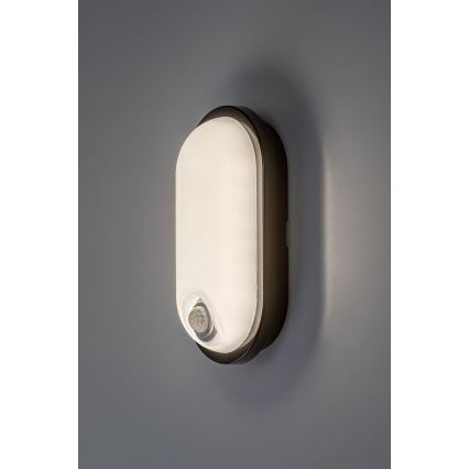 Rabalux - LED plafonieră pentru exterior cu senzor LED/15W/230V IP65 negru