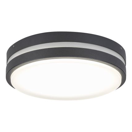 Rabalux 8847 - Aplică perete exterior LED HAMBURG LED/10W/230V IP44