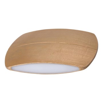 Rabalux - Aplică perete exterior LED OSCAR LED/6W/230V IP44 270lm 3000K