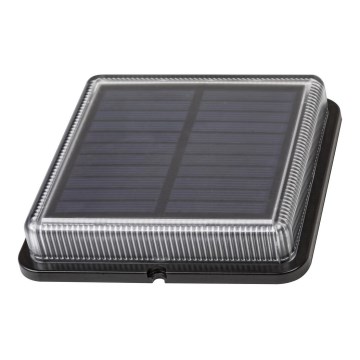 Rabalux - Lampă solară de exterior cu LED/1,5W/3,2V 4000K 500 mAh IP67