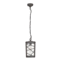 Rabalux - Lampă suspendată exterior 1xE27/60W/230V IP44