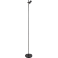 Rabalux - Lampadar 1xE27/60W/230V negru