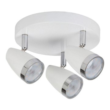 Rabalux - LED Lampa spot 3xLED/4W/230V