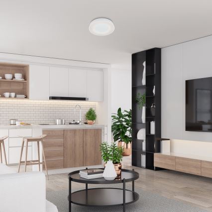 Rabalux - Plafonier LED reglabil intensitate LED/38W/230V 3000-6500K alb + telecomandă pr. 48 cm