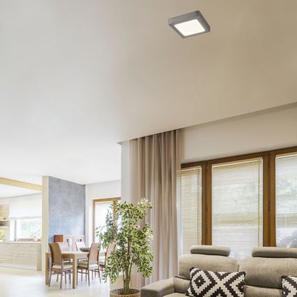 Rabalux - Plafonieră LED LED/12W/230V